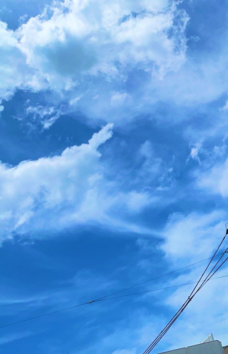 PikaChopa_8787's tweet image. ≣≣≣≣≣✿≣≣≣≣≣≣≣≣≣≣≣≣≣≣≣≣≣≣≣≣≣≣≣≣≣≣
こんにちわんこ☀️🐶おつピカッ⚡️です🍻
昨日、稼働の結果をポストする予定が
自分の病院行ったり
動物病院行ったりバタバタしてて
全然ポストできてませんでした💦😖📲
またゆっくりした時にあげます🫧🧸✨…