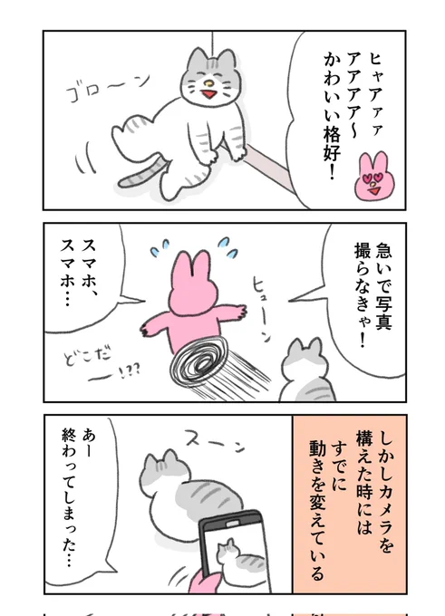 猫と暮らしてから3億回くらい思うこと 