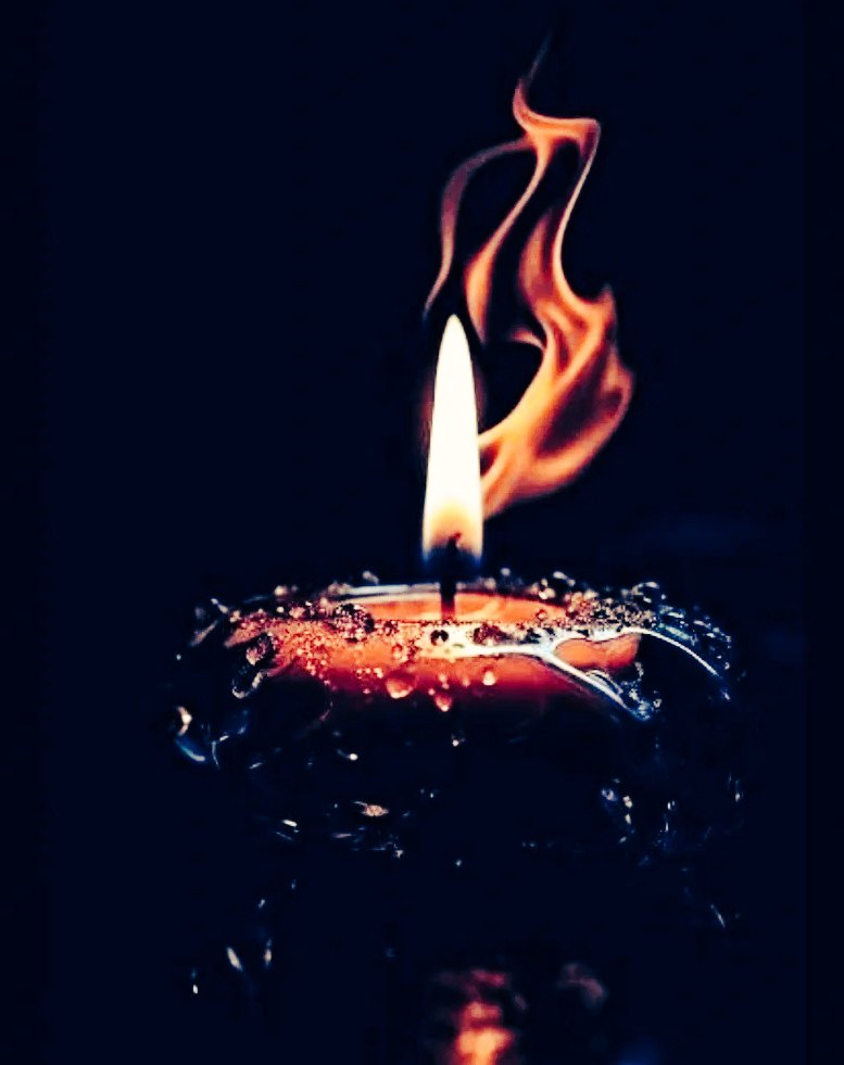 "Have a palace within yourself, or the world will be your prison." John Donne