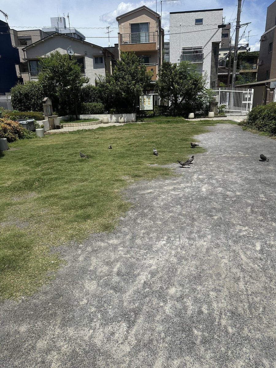 조이준 tweet media