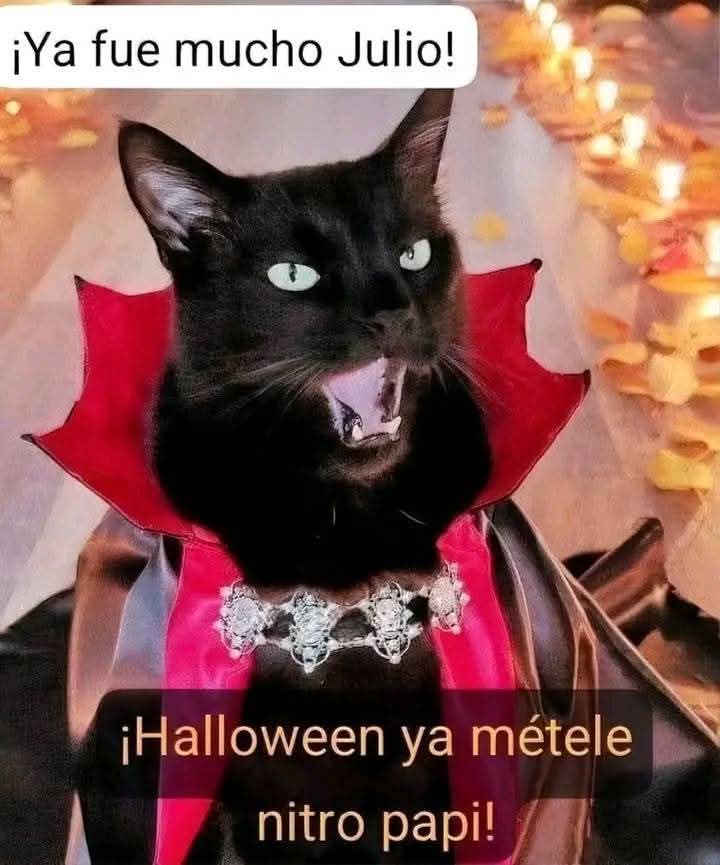 yoli_gotitaymar's tweet image. #SumandoRazones para que pronto llegue Halloween 🎃
#TeamDioses_Míticos 🔱