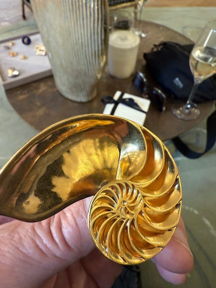 He didn’t tell us he was in The Wall Street Journal.
We figured it out when the writer checked into our hotel.
When your son is Daniel Roseberry, surprises come couture-wrapped.
A father’s front-row view:
🔗davidroseberry.substack.com/p/paparazzi-pa…