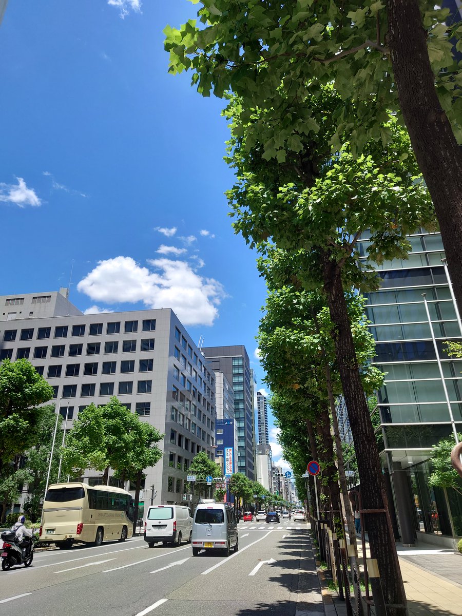 ogi_hamu's tweet image. 半年ぶりに大阪