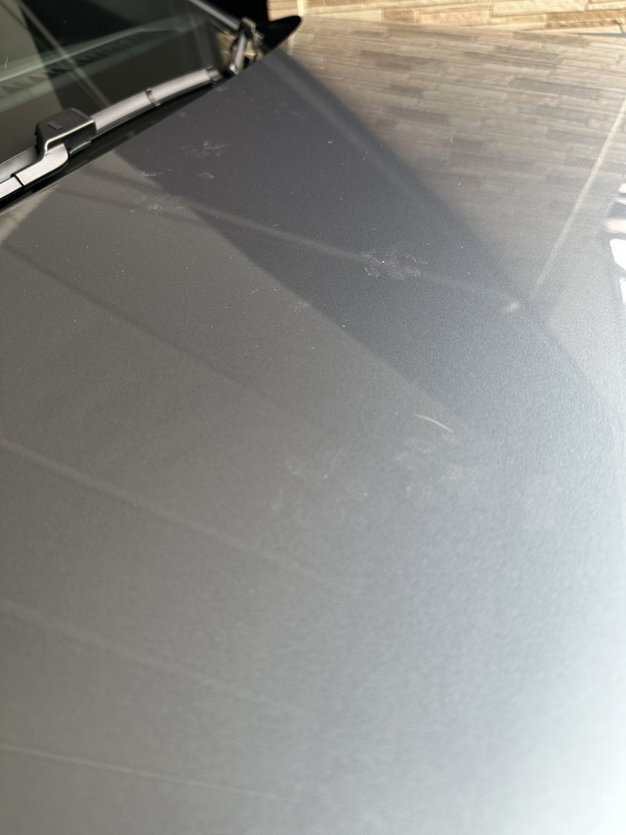 ボンネットに何者かの冒険の痕跡が🐾