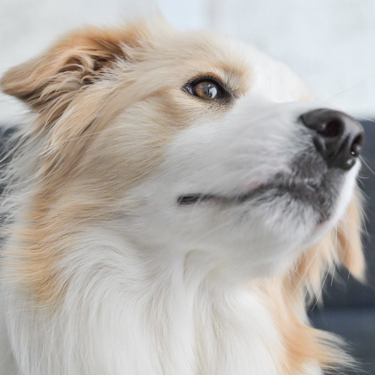 きれいなおめめ見て👀