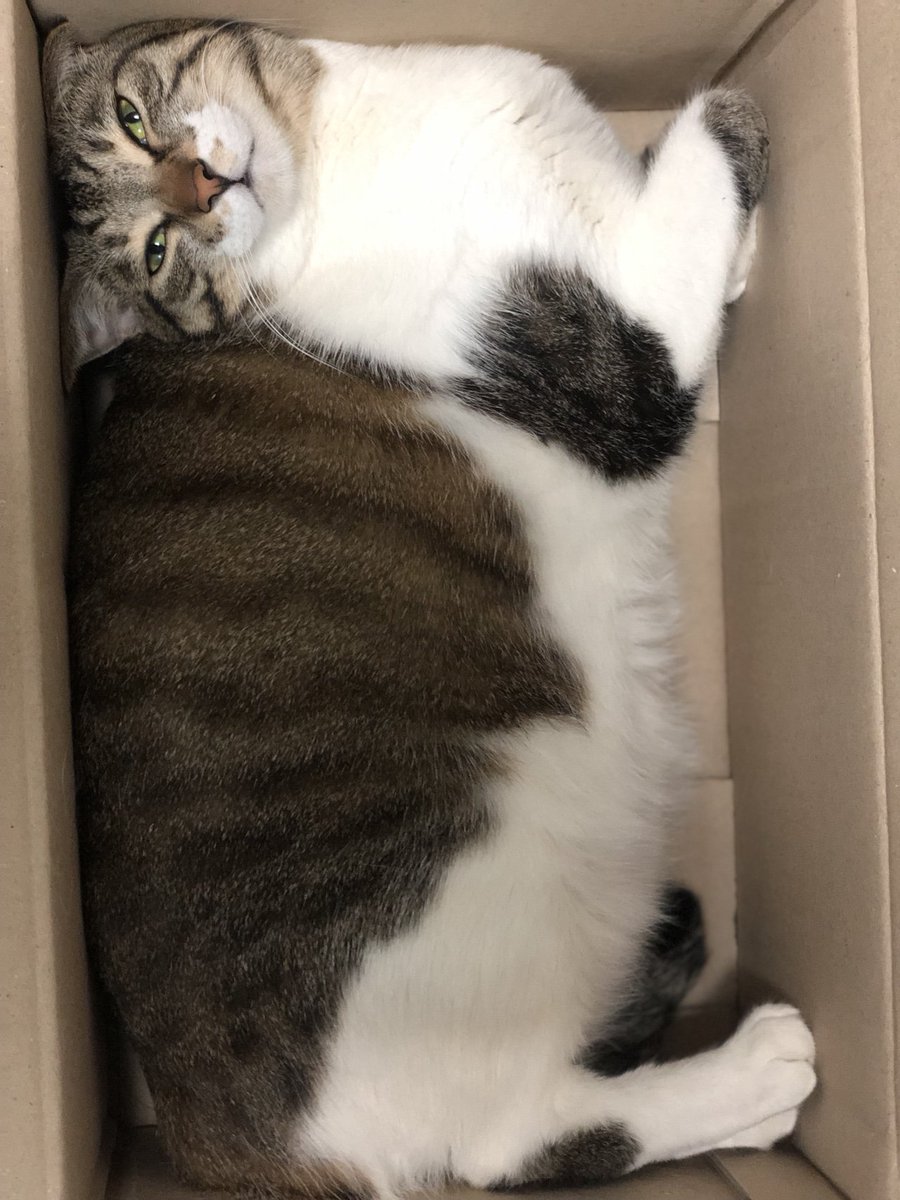 멀 보세요?
꽉낀 고영 첨보시나요?