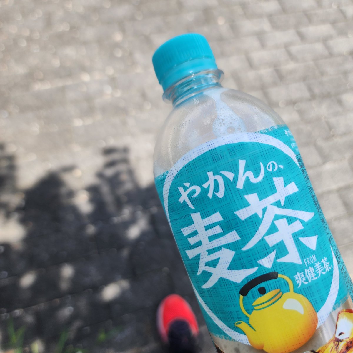 風はあるけどやっぱり暑い
日陰を選んで散歩ジョギング
自転車に乗っで上りを必死でこいてあがってきた少年、3年生くらいかなぁ『がんばってくださぁい』って声かけてくれた🤍可愛すぎて倒れそうだった🤍
またジョギングしにいこぉっと🎶
#散歩ジョギング
#やかんの麦茶
#日陰をえらぶ
#キュン死