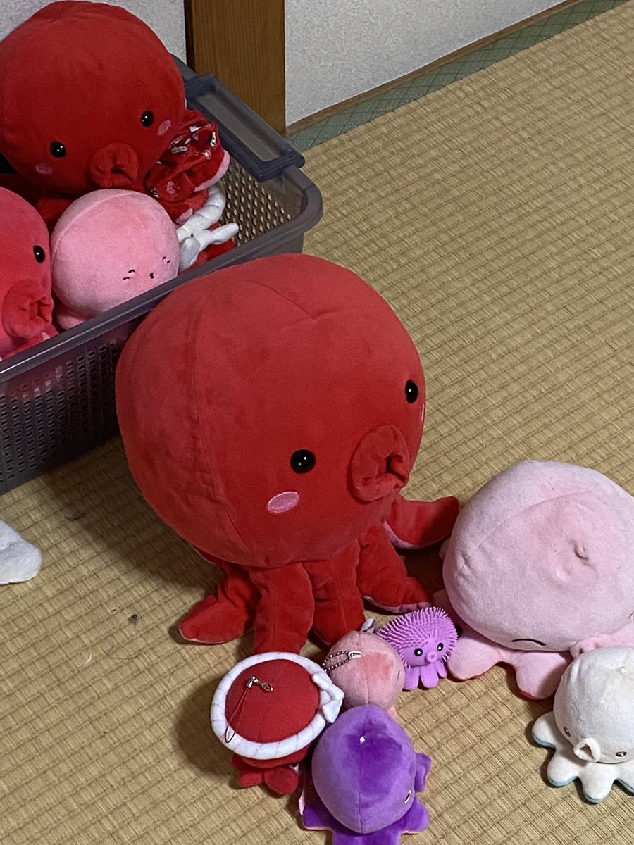PRmw7's tweet image. アニメ『タコピーの原罪』
4話まで視聴して気が付いた事
「OPとEDは凄く良い」
1話目を観た際に発見するべきでした
(作文。
#みんなでタコピー