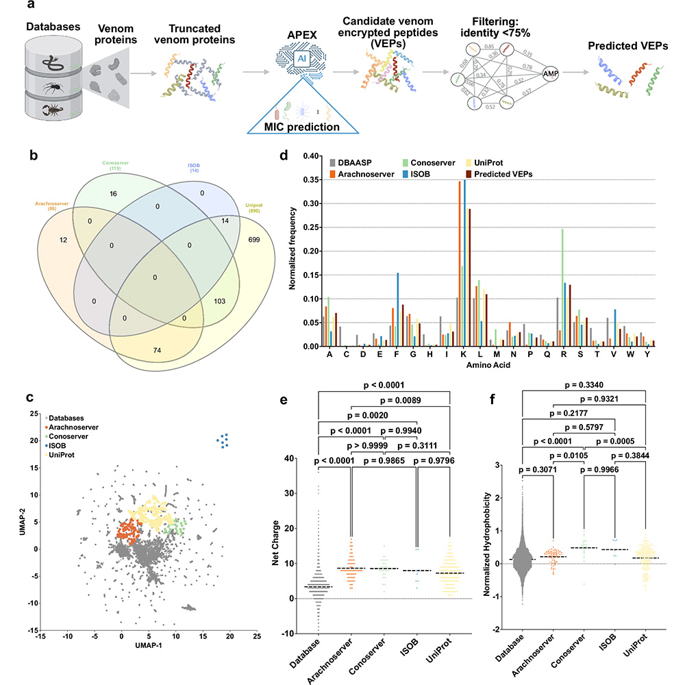NaturePortfolio's tweet image. A study in @NatureComms used AI to mine global venom proteomes and discovered novel peptides with antimicrobial activity. Several candidates showed efficacy against drug-resistant bacteria in laboratory and animal tests. go.nature.com/3TLQvpv