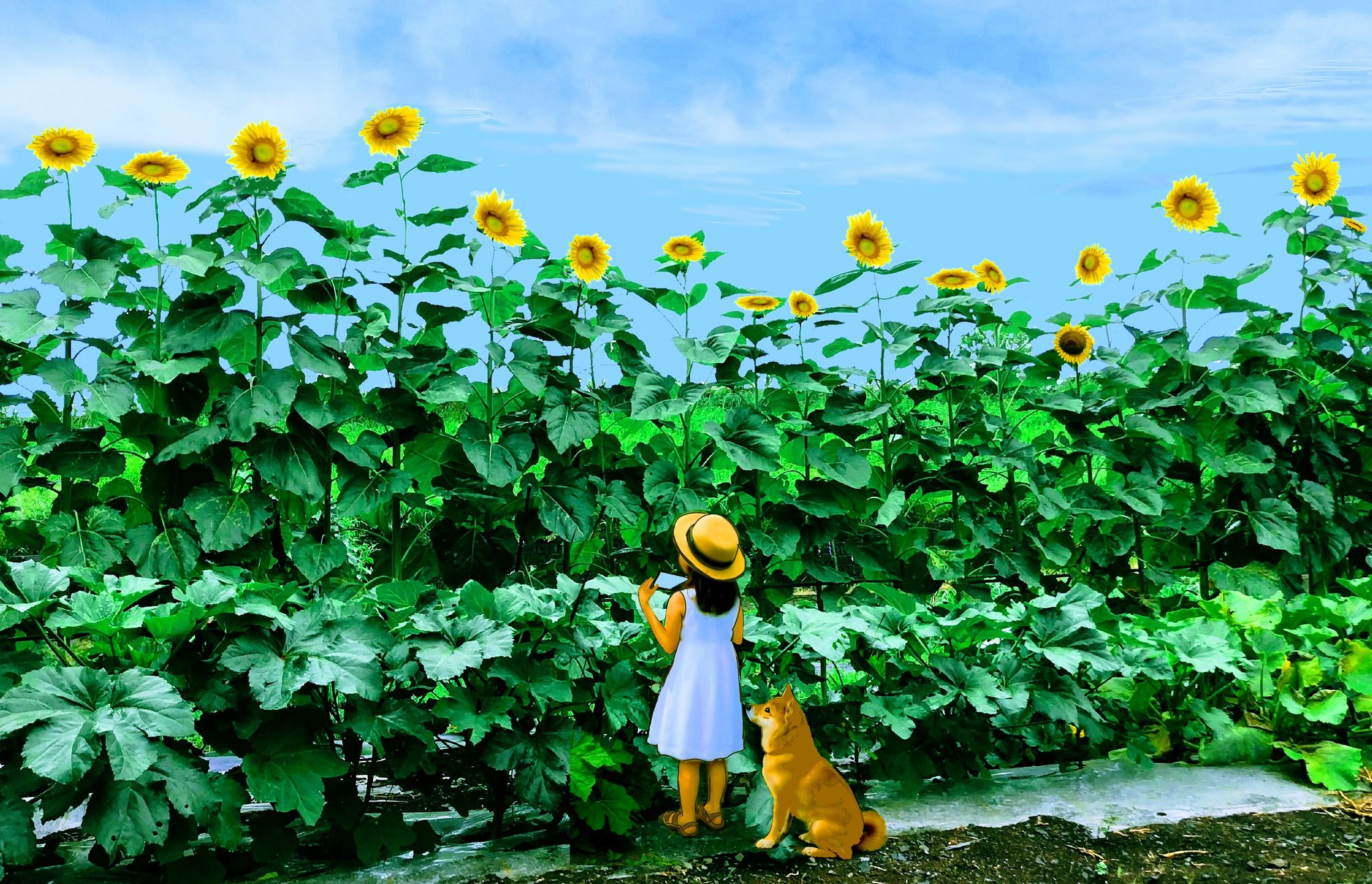 mitukiさま専用（原画）実りの花畑 ほか　8点おまとめ 木川雄三 on X: 