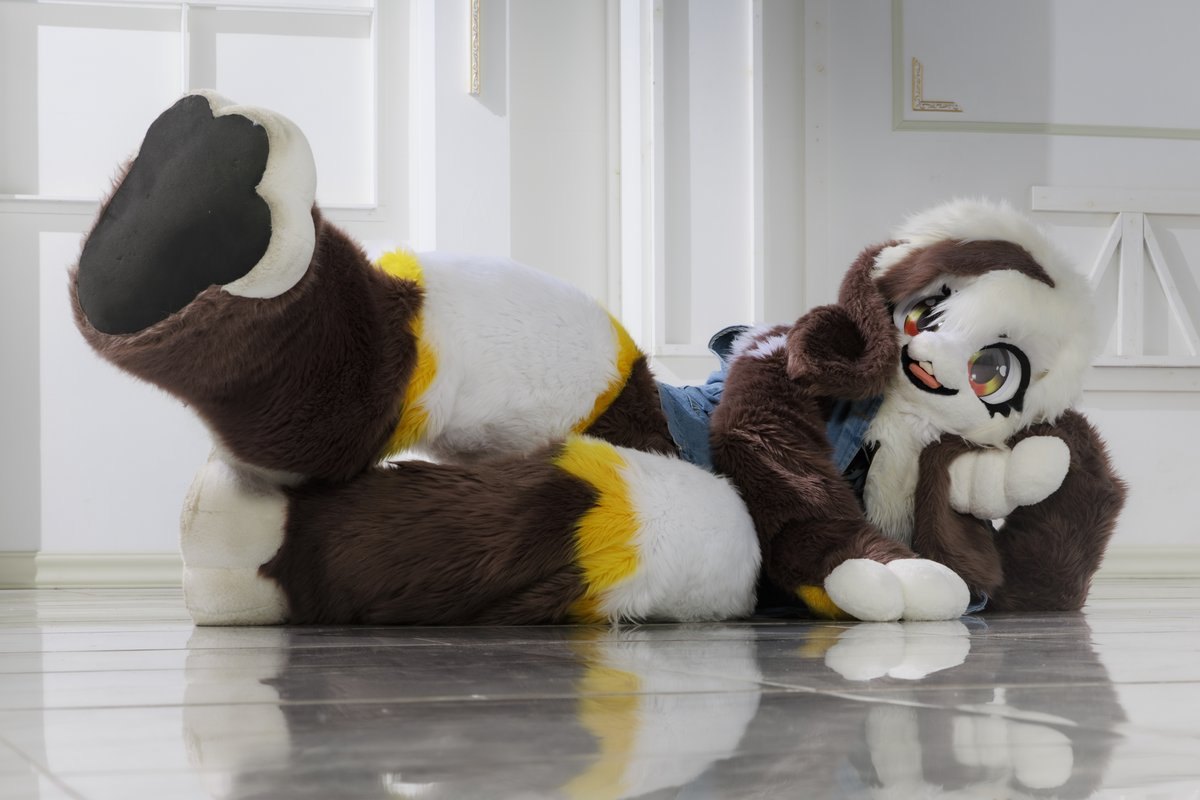 널부럭~

#FursuitEveryday #Fursuit #Boreum