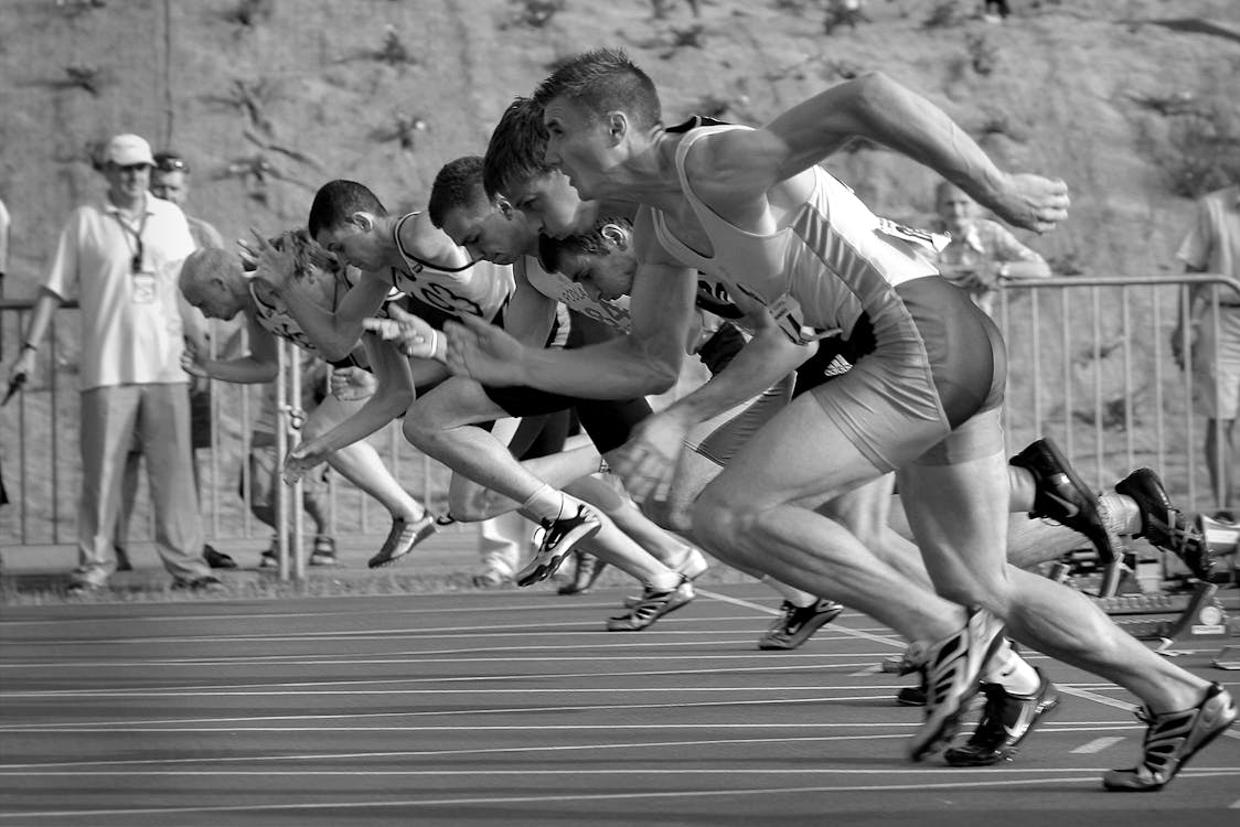 ready set go web4go.near.page

/ your gateway to web4