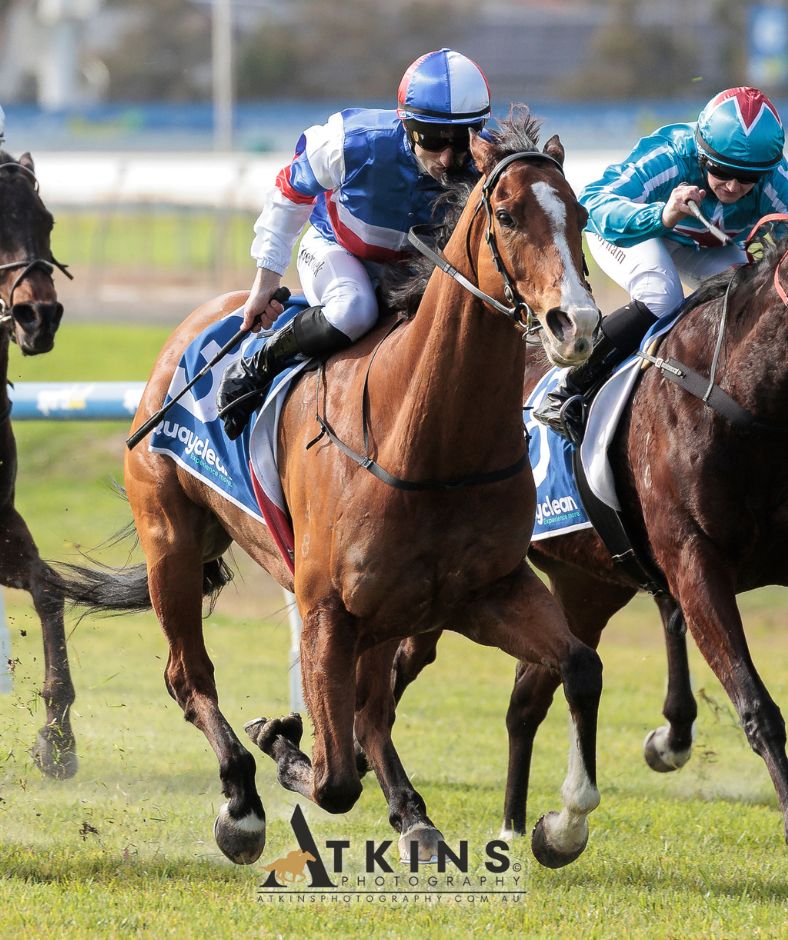 The Quayclean Handicap at Morphettville was won by Layeruponlayer, trained by Mathew Smerdon and ridden by Jake Toeroek.
Photos ~ AtkinsPhotography.com.au
Pre-race photos ~ AtkinsRacing.com.au
<a href="/RacingSA/">Racing SA</a> <a href="/SAJockeyClub/">Morphettville Racecourse</a> <a href="/SmerdonRacing/">Mathew Smerdon</a> <a href="/PriceBloodstock/">Price Bloodstock</a>