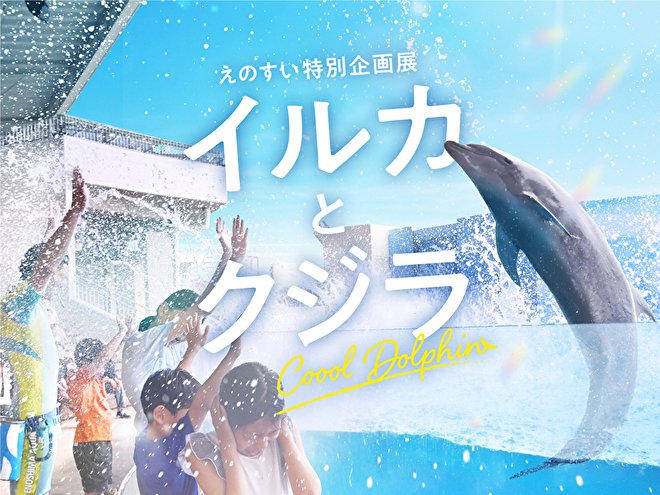 enosui_com's tweet image. 梅雨明けとともに夏休みがやってきました☀
この夏の新江ノ島水族館では、暑い夏をCooolに楽しむ、
特別企画展「イルカとクジラ Coool Dolphin」を開催中です🐬🐋
チケット窓口や券売機に並ばずに、そのままご入場いただけるWEBチケットも販売中!
🎟️ご購入はこちらから🎟️
asoview.com/channel/ticket…