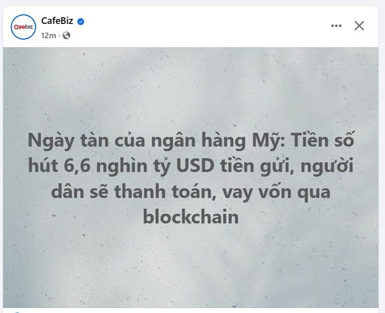 Tieu Phu Pi tweet media