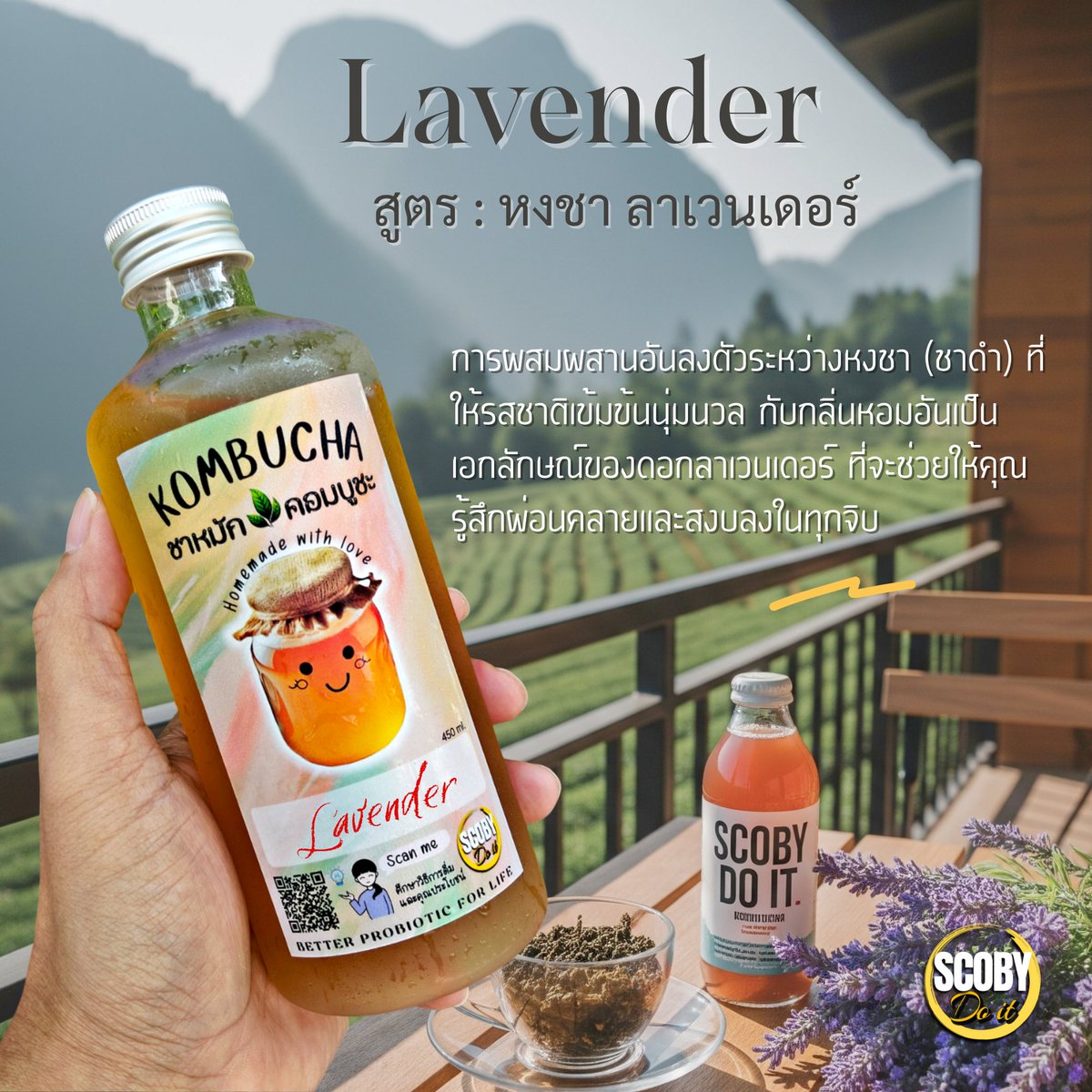 scobydoit's tweet image. .
🌻 ชาหมักคอมบูชะ สูตรหงชา ผสมดอกลาเวนเดอร์ ...
🍸 การผสมผสานอันลงตัวระหว่างหงชา (ชาดำ) ที่ให้รสชาติเข้มข้นนุ่มนวล กับกลิ่นหอมอันเป็นเอกลักษณ์ของดอกลาเวนเดอร์ ที่จะช่วยให้คุณรู้สึกผ่อนคลายและสงบ
🛒 Shopee > s.shopee.co.th/7fOfTJSEWV
.
🛒 Lazada > s.lazada.co.th/s.x5YfI?cc
