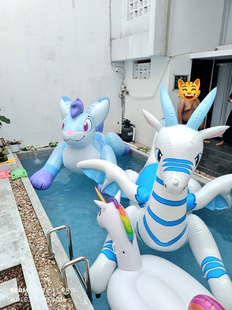 raikhanov47's tweet image. After party #IWAG2025 at villa near my house and we're bringing pooltoys for pooltoy party. We're so excited and lots of fun 
#squeakysaturday #inflatable #inflatables #FyaRyuu #jazzybunfox #goodra #orca #unicorn #pooltoy #pooltoys