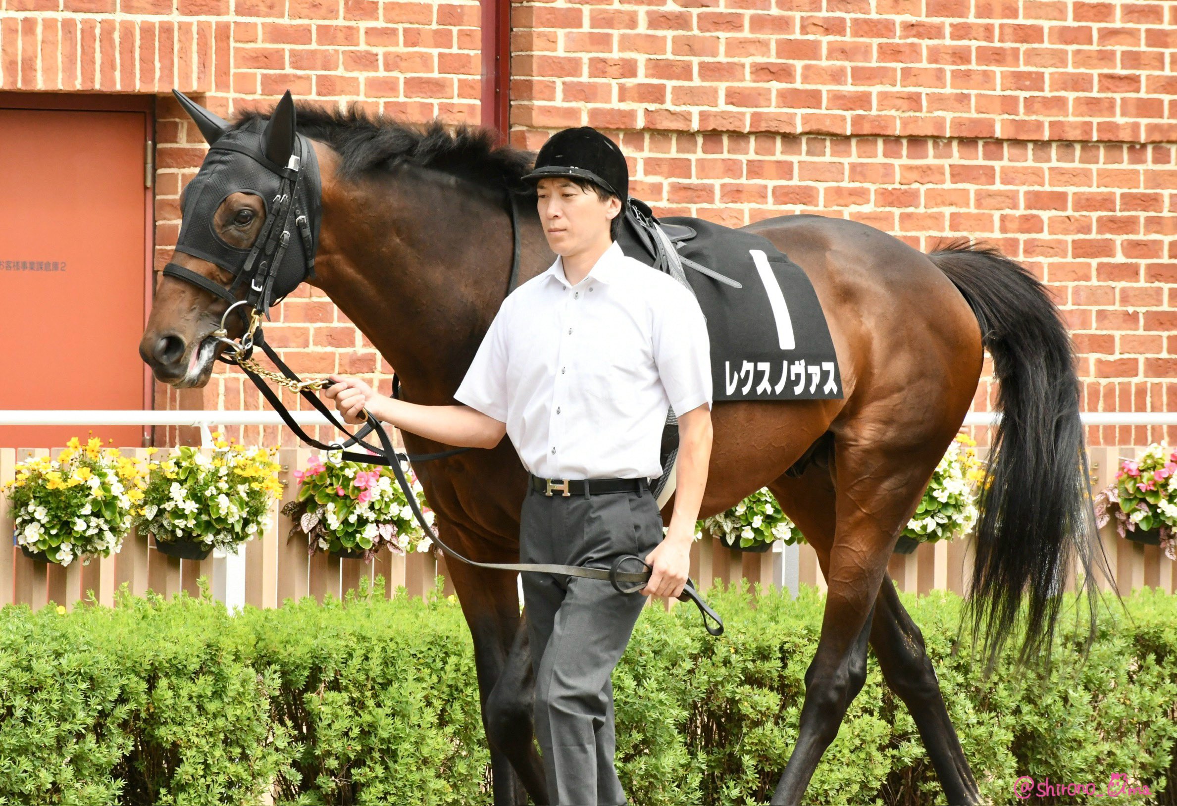 世界に一つ　ウマ娘　岩田康誠騎手サイン入り デルタブルースポスター ウマ娘 岩田康誠騎手サイン入り デルタブルースポスター - メルカリ