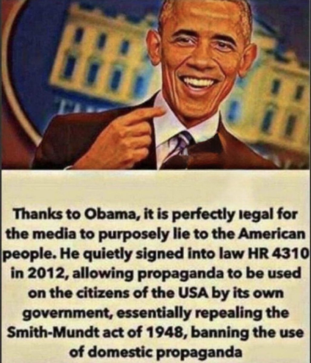 Thank Obama for the Domestic Propaganda…