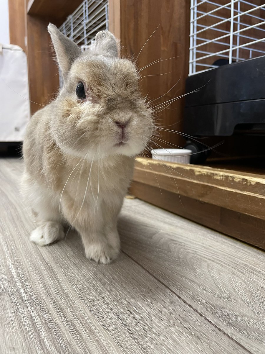 chocolate_otter's tweet image. 本日も12時開店しました🙇‍♂️
福島県も梅雨明けし今日から夏休みに突入🌻海開きも今日からで夏本番です🏖️本日もご来店お待ちしています😊