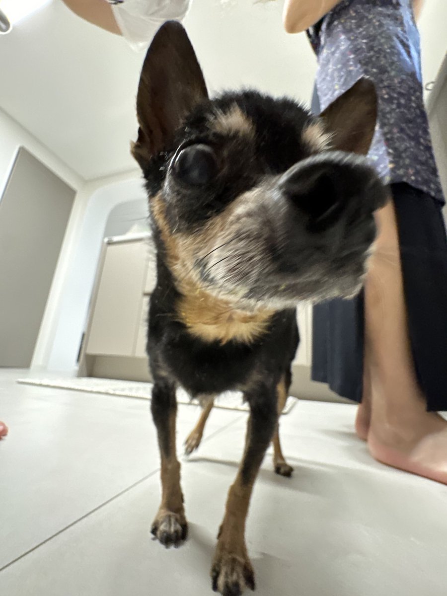 teamDDUDDU0210's tweet image. 저벅슨저벅슨