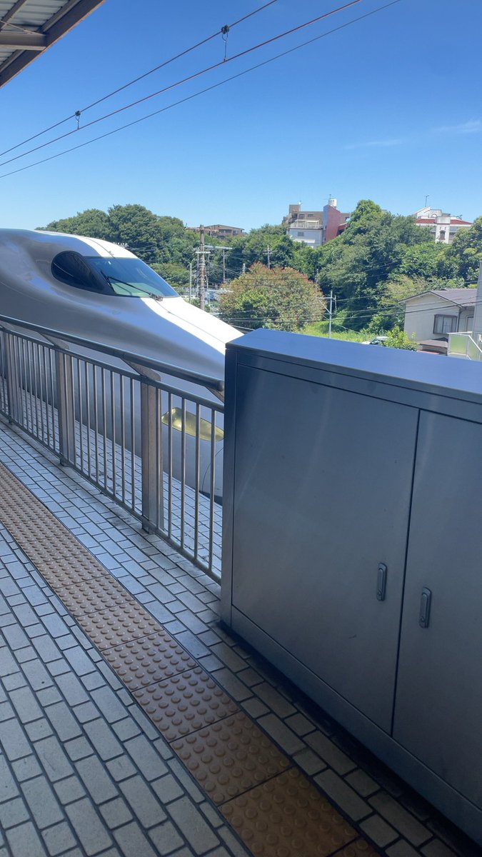 bubu5519's tweet image. 朝亀甲竜買いに行ってて遅くなってしまったが、今から名古屋向かいます！
待ってろTAMA🐈
 #MADUNIVERSE#大須