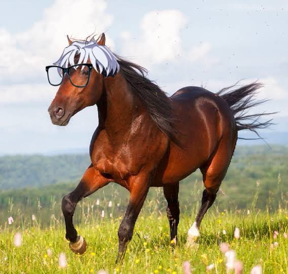 i think horse rikai should get to see the light. Go. Run free my boy