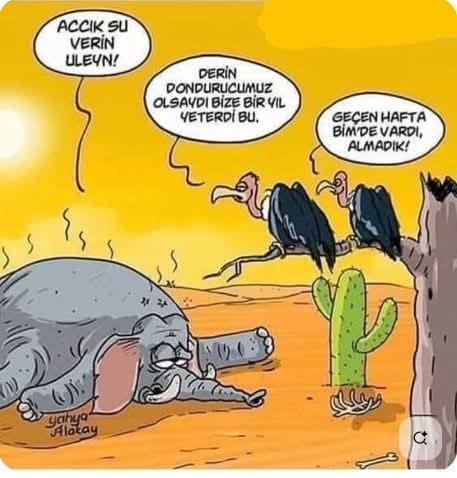 Kaçırdık fırsatı...