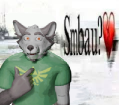 SnipeyFox's tweet image. 