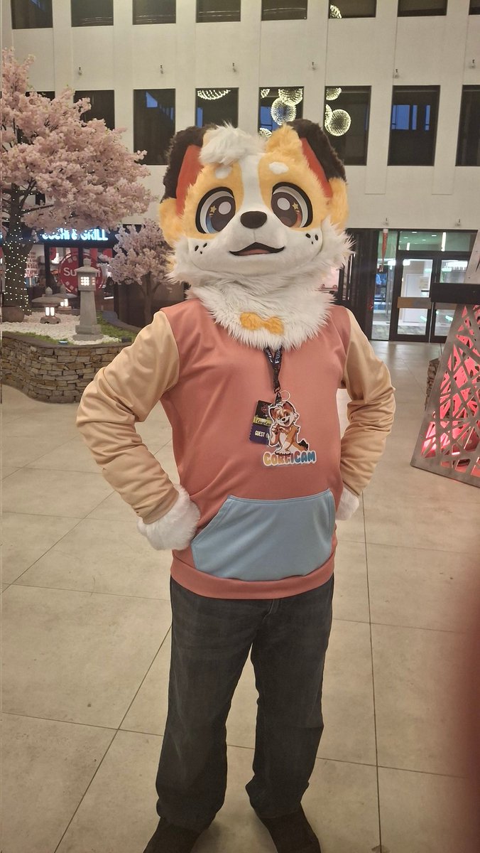 I mean nice suit but why is it so small ? 

<a href="/fureh/">Fur-Eh!</a> <a href="/TheCorgiCam/">Corgi @ Fur-Eh!</a>