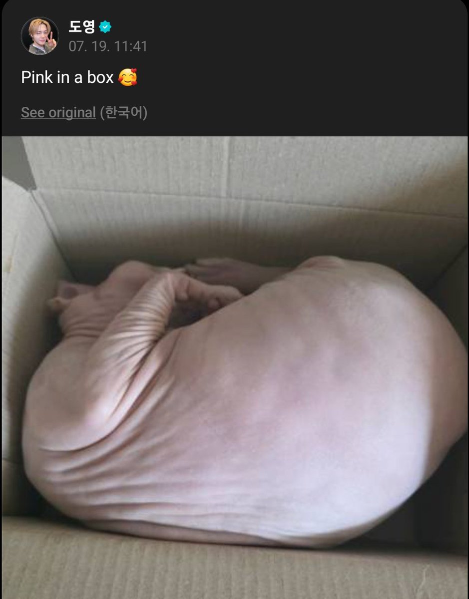 doyounggpcs's tweet image. 250719 doyoung weverse post 🌟

#도영 #트레저