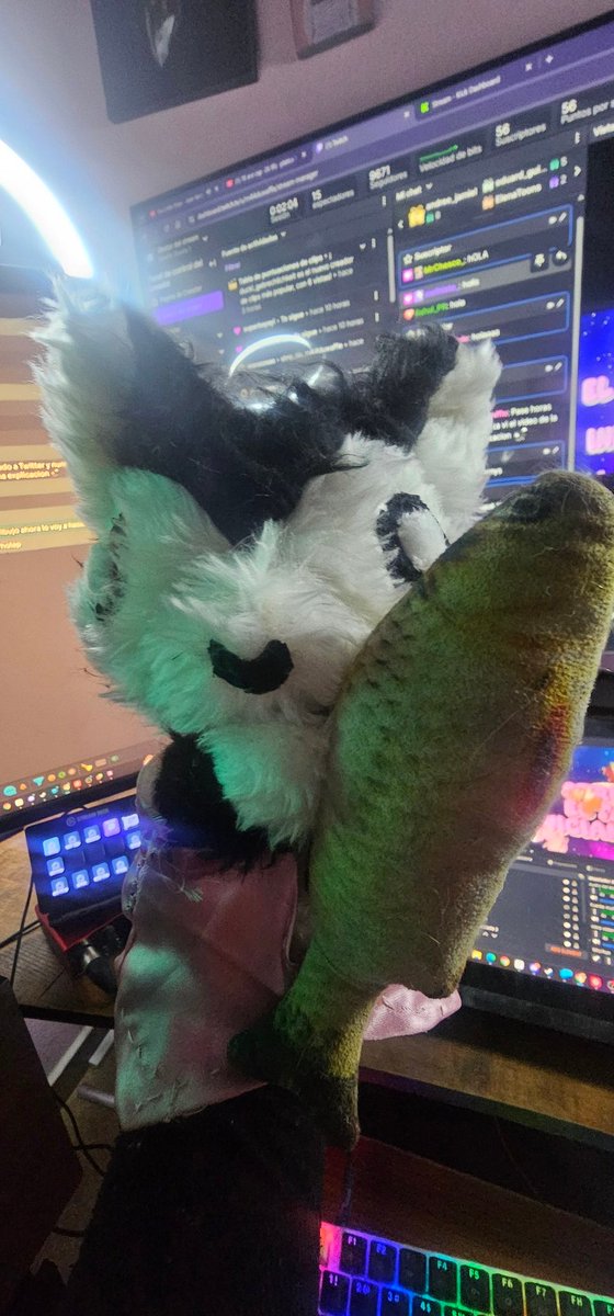 maladuwaffle's tweet image. Ya empezó el programa de mini M4L4 owo!!