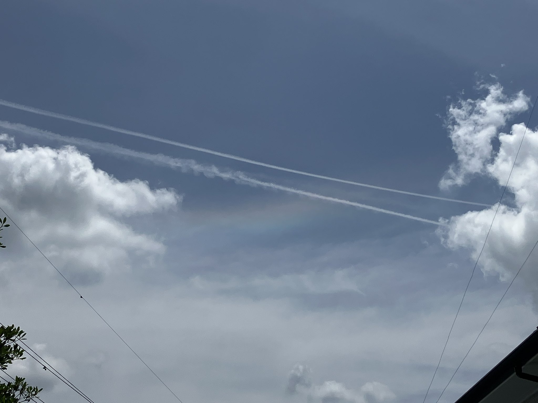 ヒコウキ雲 🌈🐢ANA FLYING HONU🐢🌈 何かpostしようと思うと ホヌちゃんに