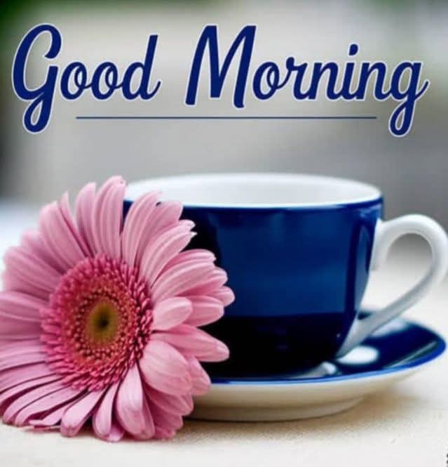 ज़ब बात पता नहीं हो, तब मौन सबसे बड़ा बुद्धिमता का साधन होता है©
राम राम जी 🙏🙏
कैसे हो सब लोग