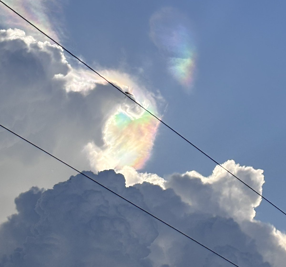 sleepydude tweet media