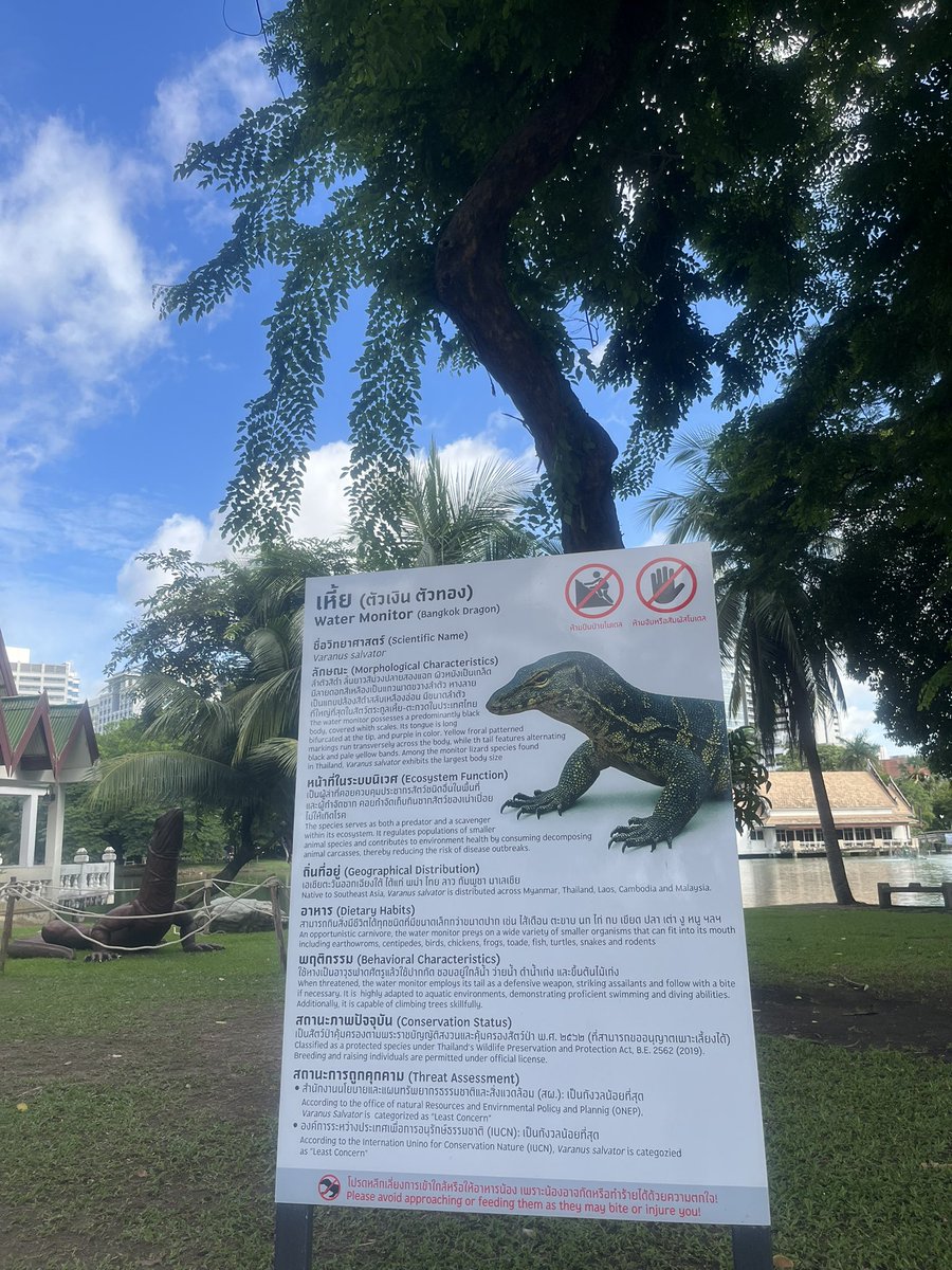 CurtisSChin's tweet photo. #Thailand ๐น๐ญ: Never noticed that sign and statue beforeโฆ
#awalkinthepark #LumpiniPark #SaturdayMorning #Bangkok #GotLizards #MonitorLizard #LizardTwitter #ReptileTwitter
@MaximsNewsWATER @smilingalbino @DanBFraser @Dan_in_BKK ๐ https://t.co/2oFuwvn5cF