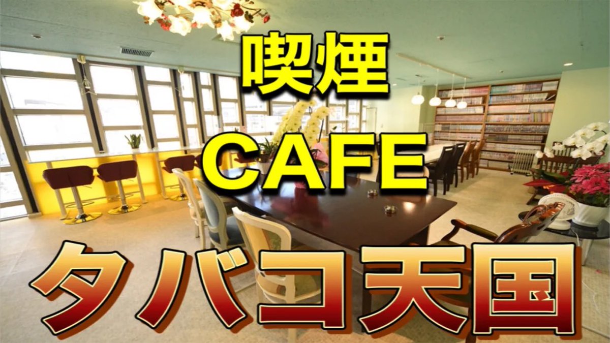 THECAFE_Tabako's tweet photo. 投稿ご無沙汰しております🙇🏻
タバコ天国 THE CAFE
本日も営業しております☕️🚬✨

〜営業時間〜
平日     9:00-23:00
土日祝 9:00-22:00

ご来店お待ちしております！

#新橋
#昭和レトロ
#喫茶店
#換気バッチリで煙くない ✨
#広々とした店内 ✨
#仕事や勉強に 💻📖
#漫画読み放題 📚
#持込可 🍱🥤 https://t.co/2DcZtnPhzE