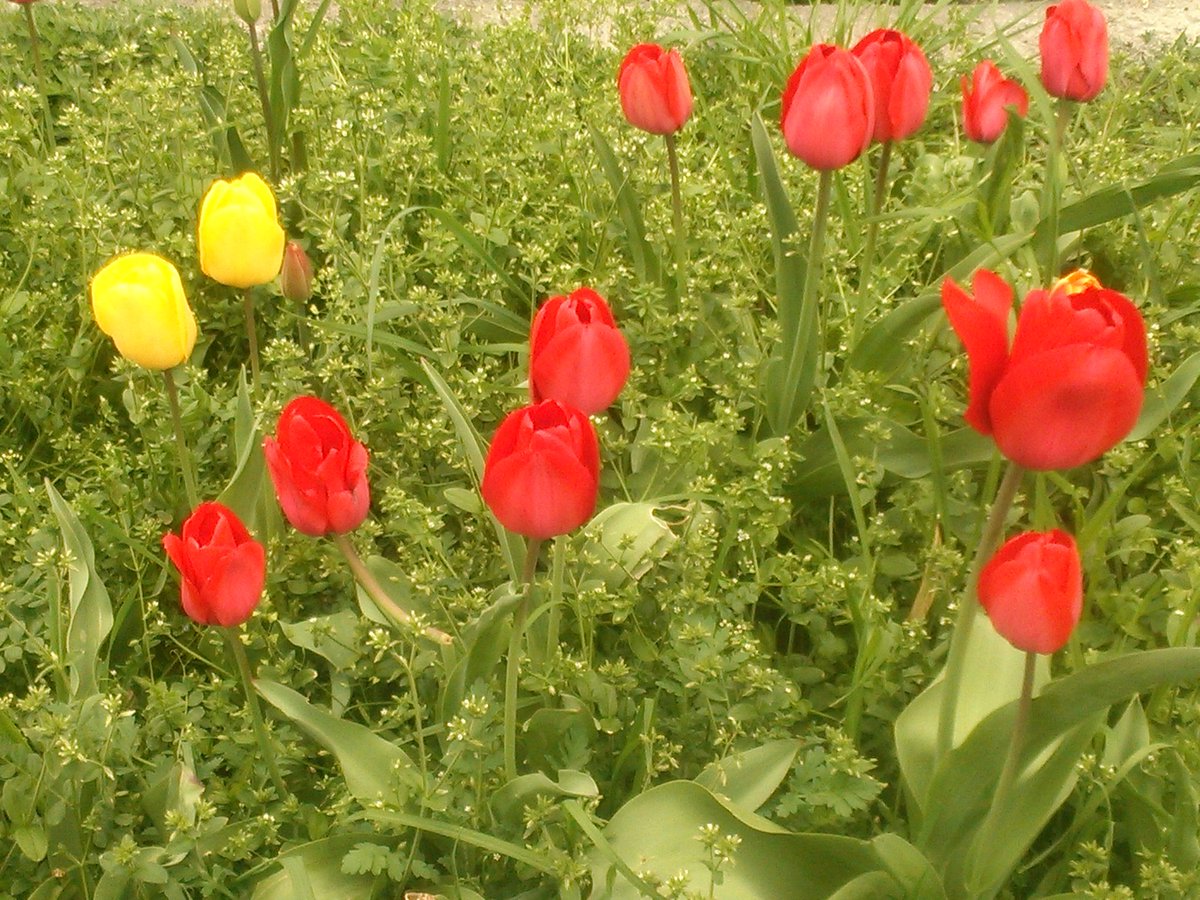 ⸜(*˙꒳˙*)⸝

新しい冷蔵庫ｷﾀ━(ﾟ∀ﾟ)━!

これで扉がキチンと閉まるよ🤣