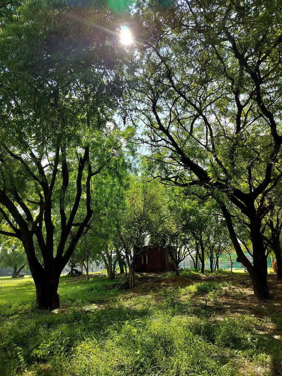 VsPsych's tweet photo. #tress https://t.co/ePHBSnOn3o