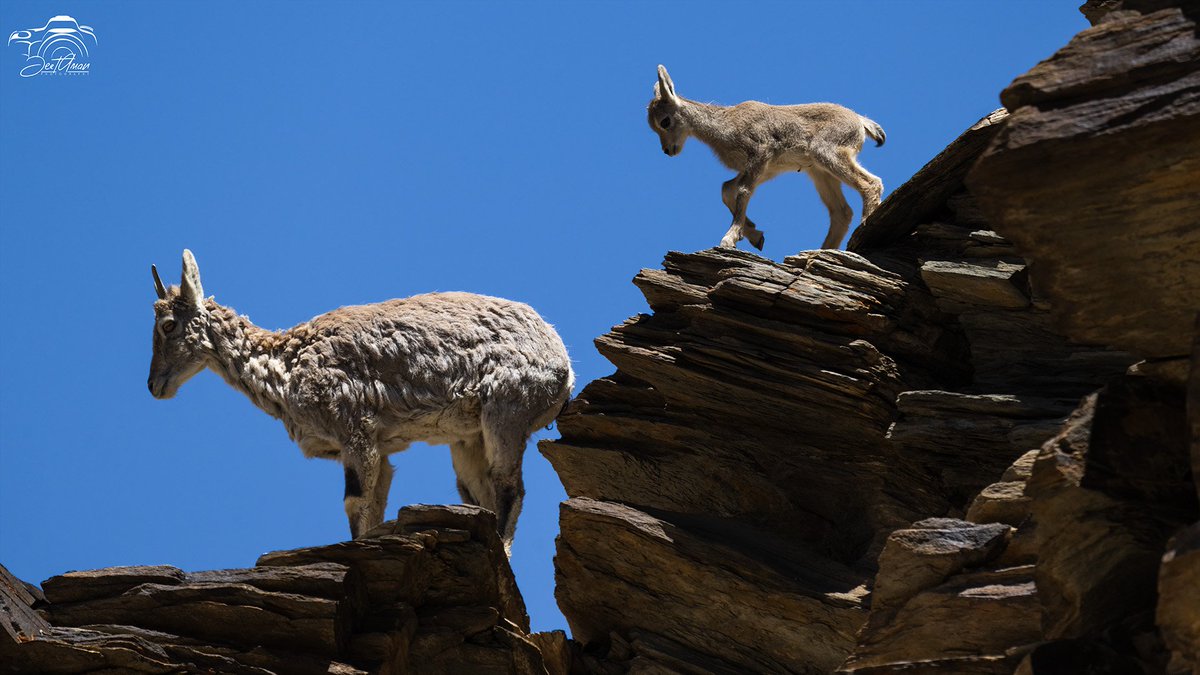 JeetAman Photography tweet media