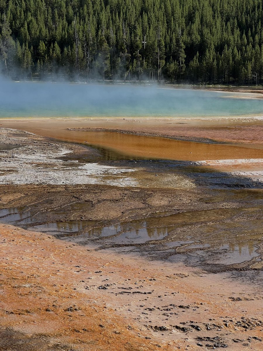 earlygirl__'s tweet image. sorry I haven’t been active, I’ve been witnessing natural wonders barely conceivable to the human mind