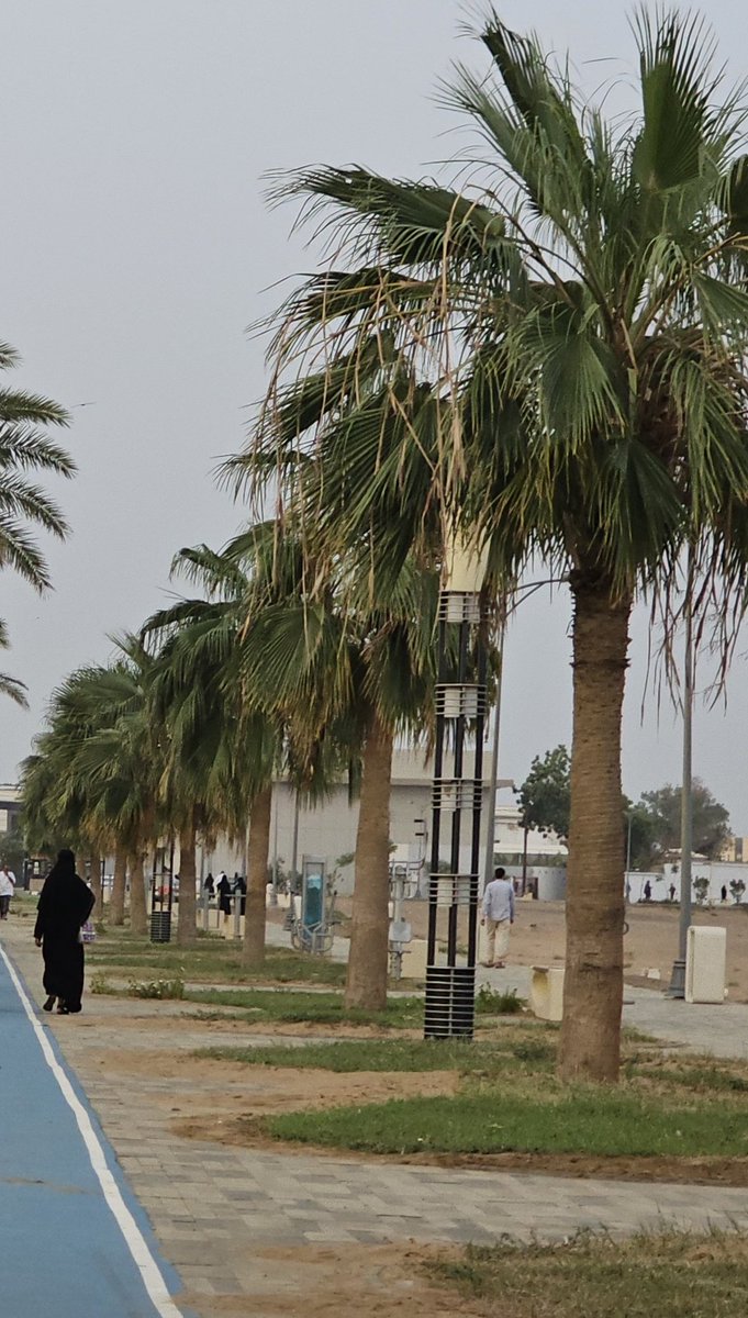 الآن في الممشى