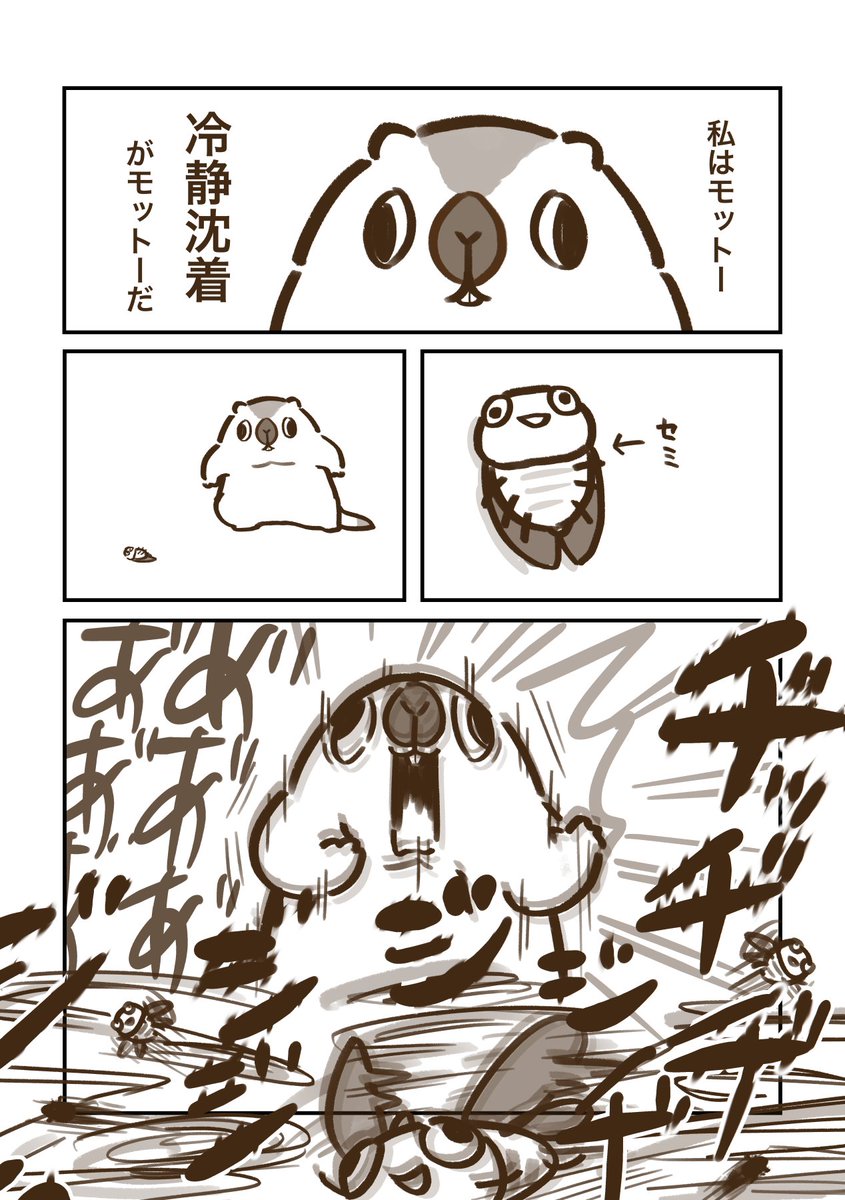 marmottooooo's tweet image. その43💣
