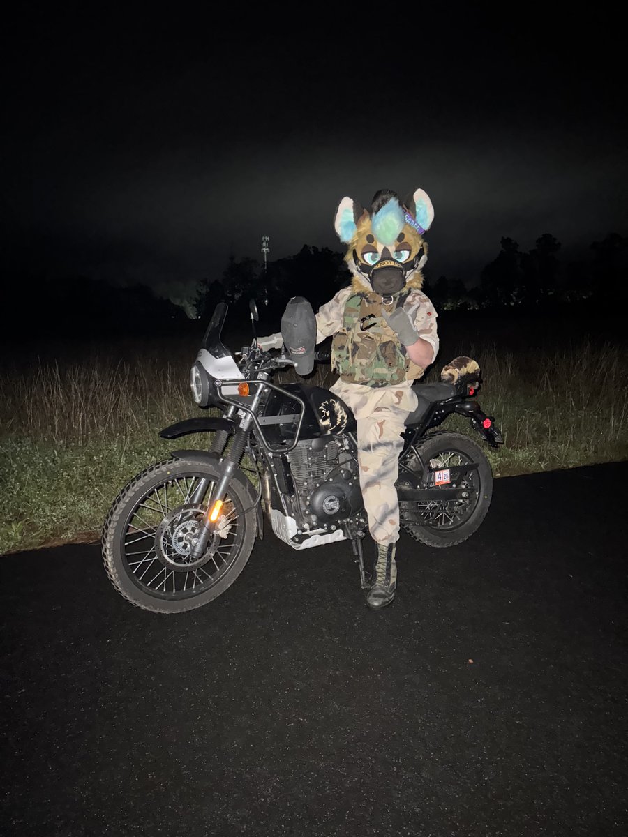 SaberYeem's tweet image. If only i had a KLR650.. furbsuit friday or somthin