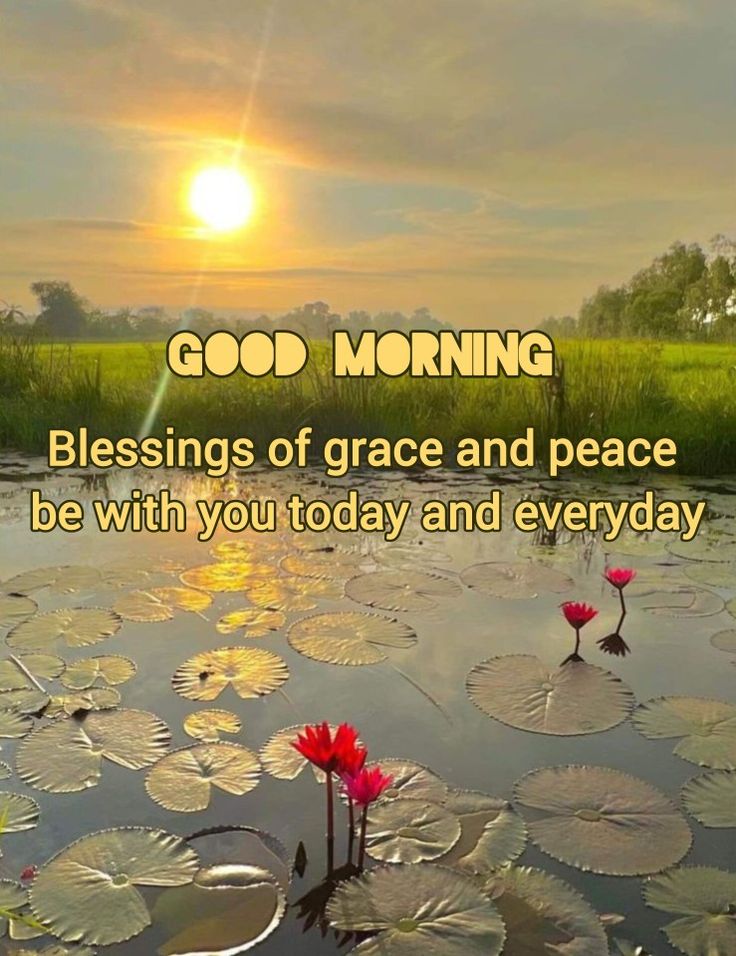 Good Morning X mate