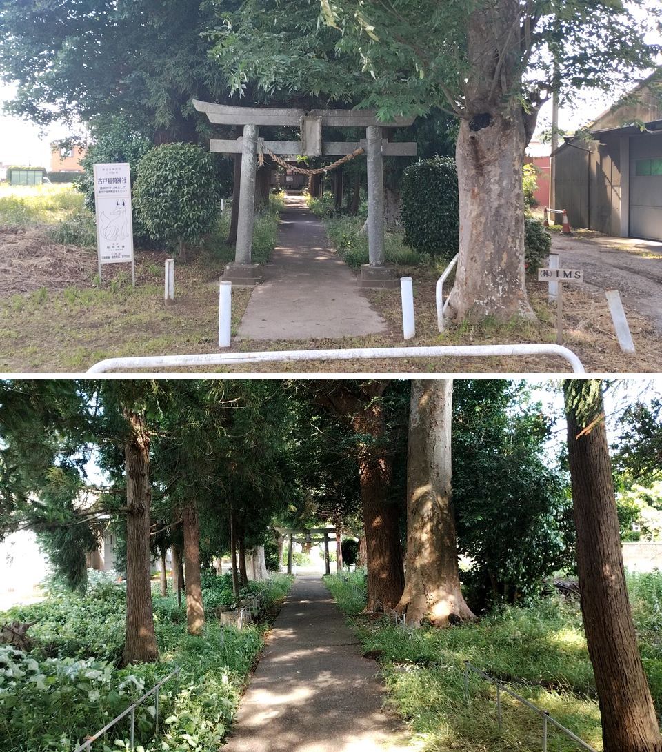 atsu_oha's tweet photo. 千葉県我孫子市の古戸稲荷神社の御朱印です
佐竹神社で頂けます
市立湖北中学校北400m程
室町末期に村内の別の場所で創建
江戸後期に現在地に遷座
祭神の神像があるそうで宇迦之御魂神は女神の姿をよく見ますがこちらの像は右に鎌を左に稲束を持った狐にのる老爺姿だそう https://t.co/46zEtR04Aa