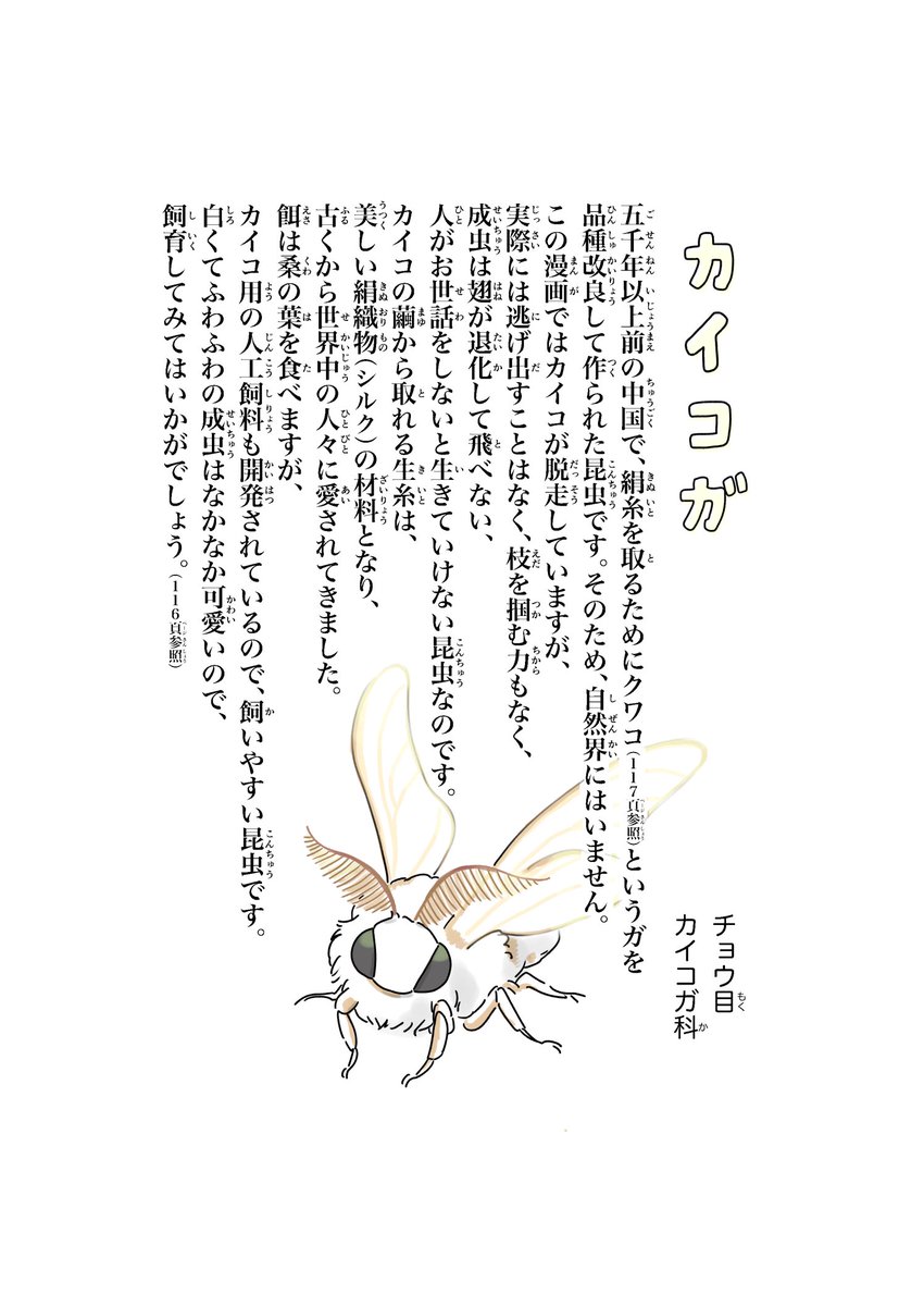 life_with_moth's tweet image. The main photographer for the second and third shoots of the big fluffy moth was Asuka Shirakawa, an insect cartoonist!
Asuka Shirakawa has also published a book about caterpillars!
This book is recommended for those who like caterpillars.
しらかわあすか(Shirakawa Asuka)…