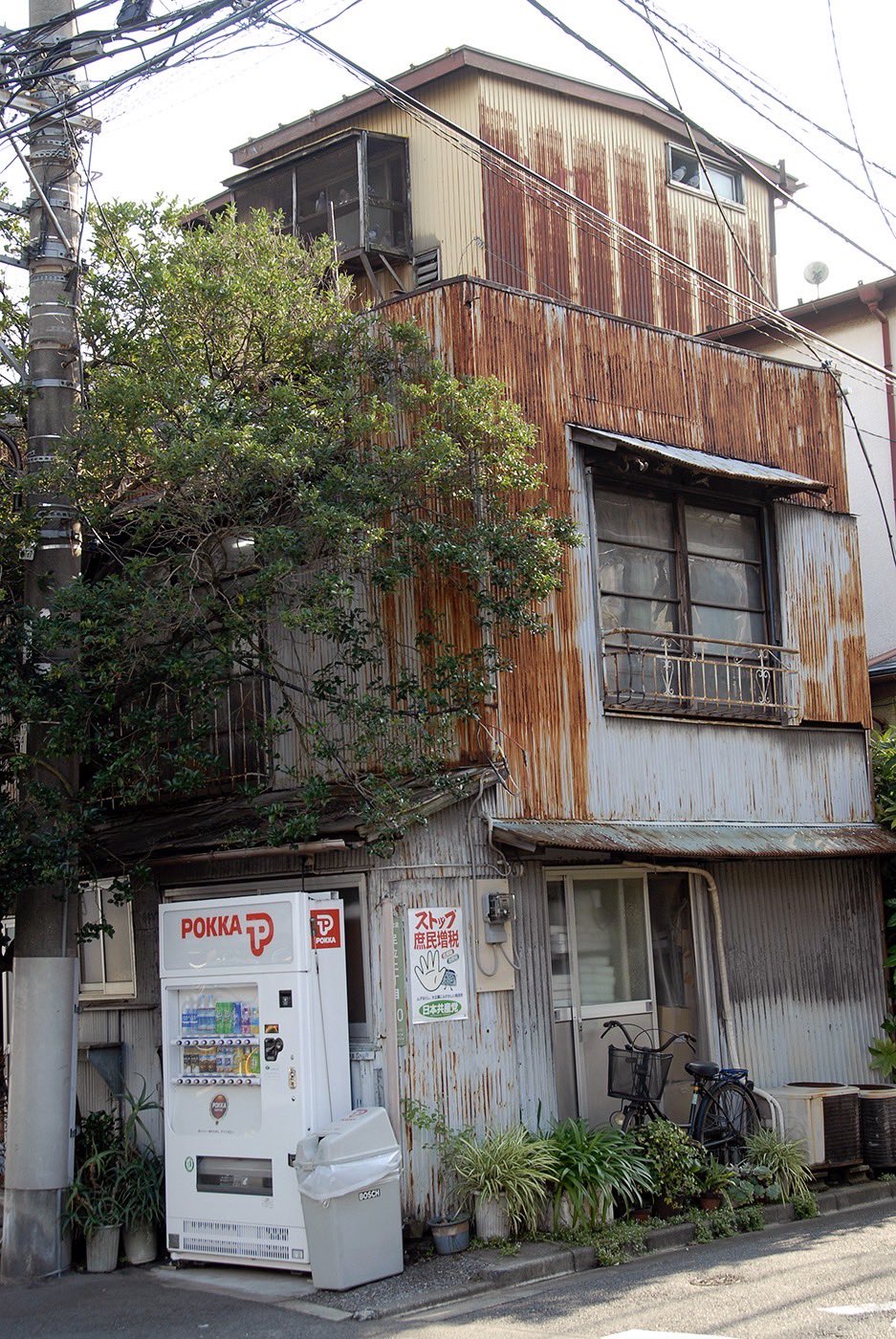 PCT (@PCT_Japan) / X