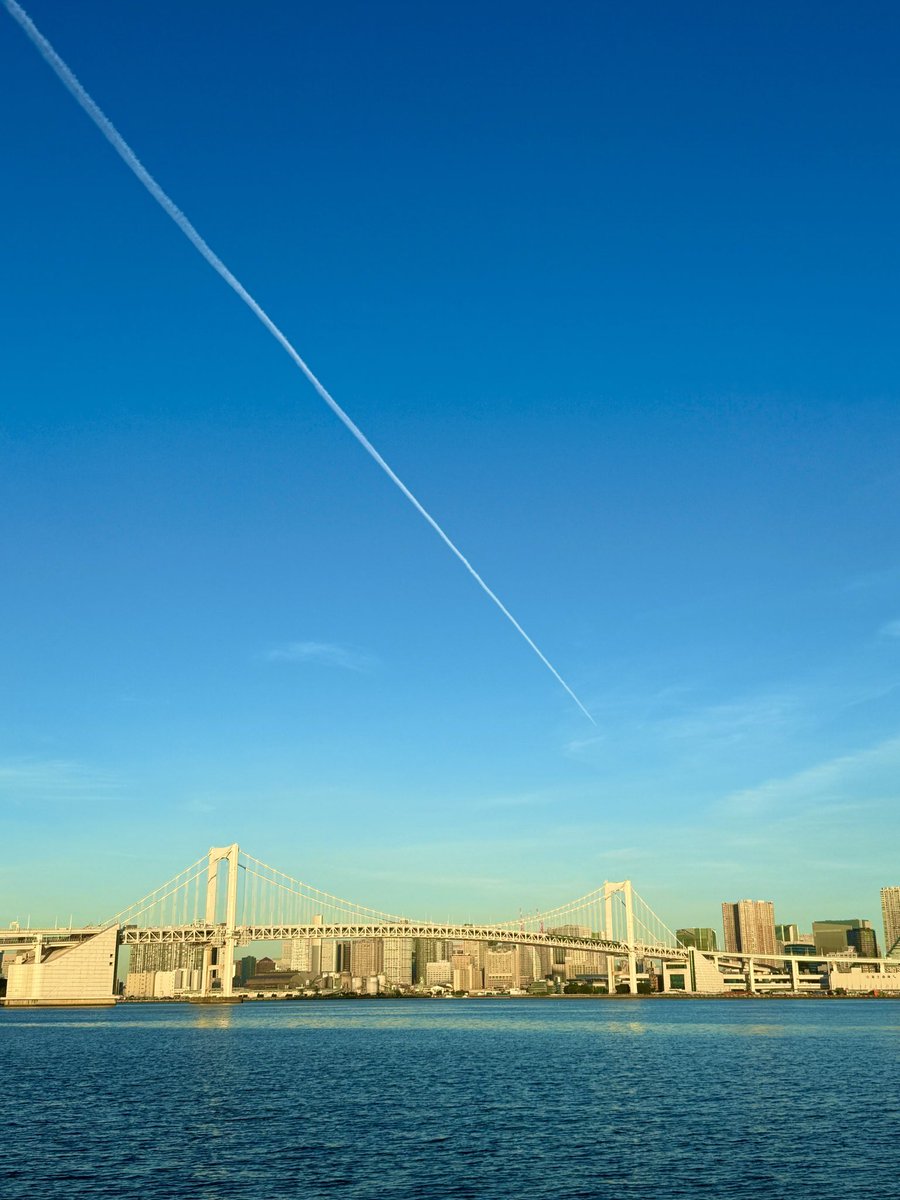 cleopatras777's tweet image. 早朝の飛行機雲✈️
何処に行くのかなぁ🤔