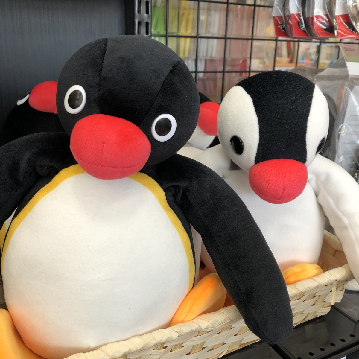 Hi_NOTE_isesaki's tweet image. キャラクターキャラバン第3弾はピングー❣️ハイノート伊勢崎店の入口にピングー売場が登場です🐧✨
文房具だけでなく、お弁当箱やミニタオルなど色々な商品があるので楽しいですよ〜💙期間は8月31日までです!
ハイノート伊勢崎店でお待ちしておりまーす☺️ #ハイノート伊勢崎店 #文房具 #ピングー